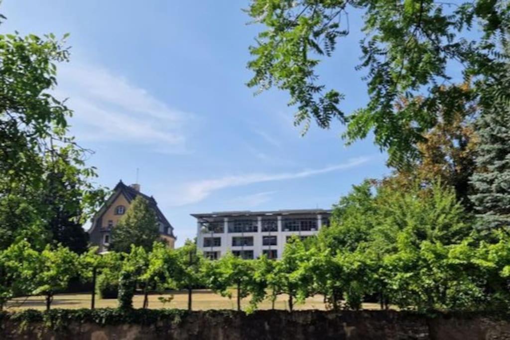 Wohnwerk: Penthouse - Moselblick Lägenhet Traben-Trarbach Exteriör bild